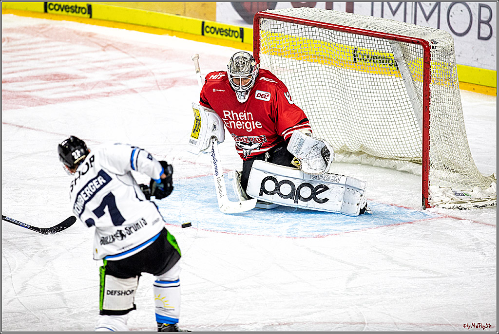 DEL; Koelner Haie - Straubing Tigers; Koeln, 17.11.2019